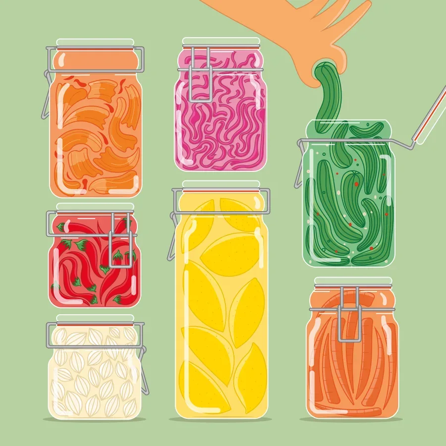 Fermented illustration